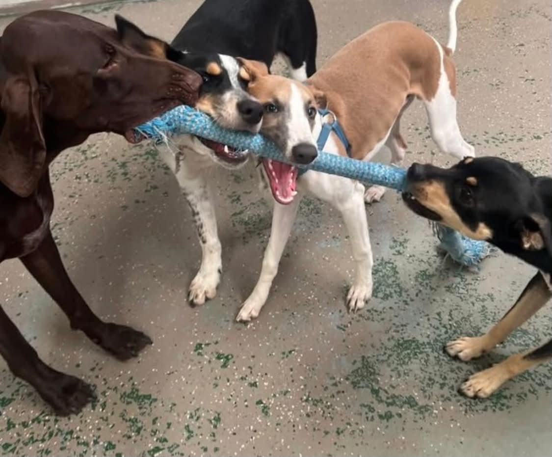 att.BncP1pS6j7EEYGfNrbEwsImNwfo2m5g7qTsnNK8M6Jk